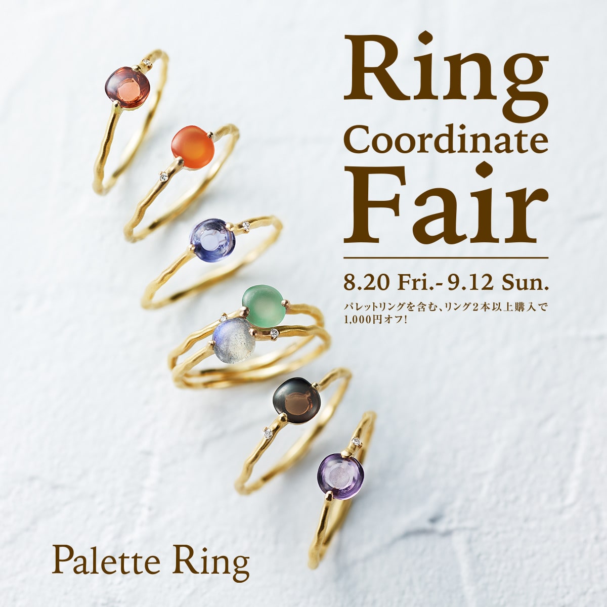 Ring Coordinate Fair